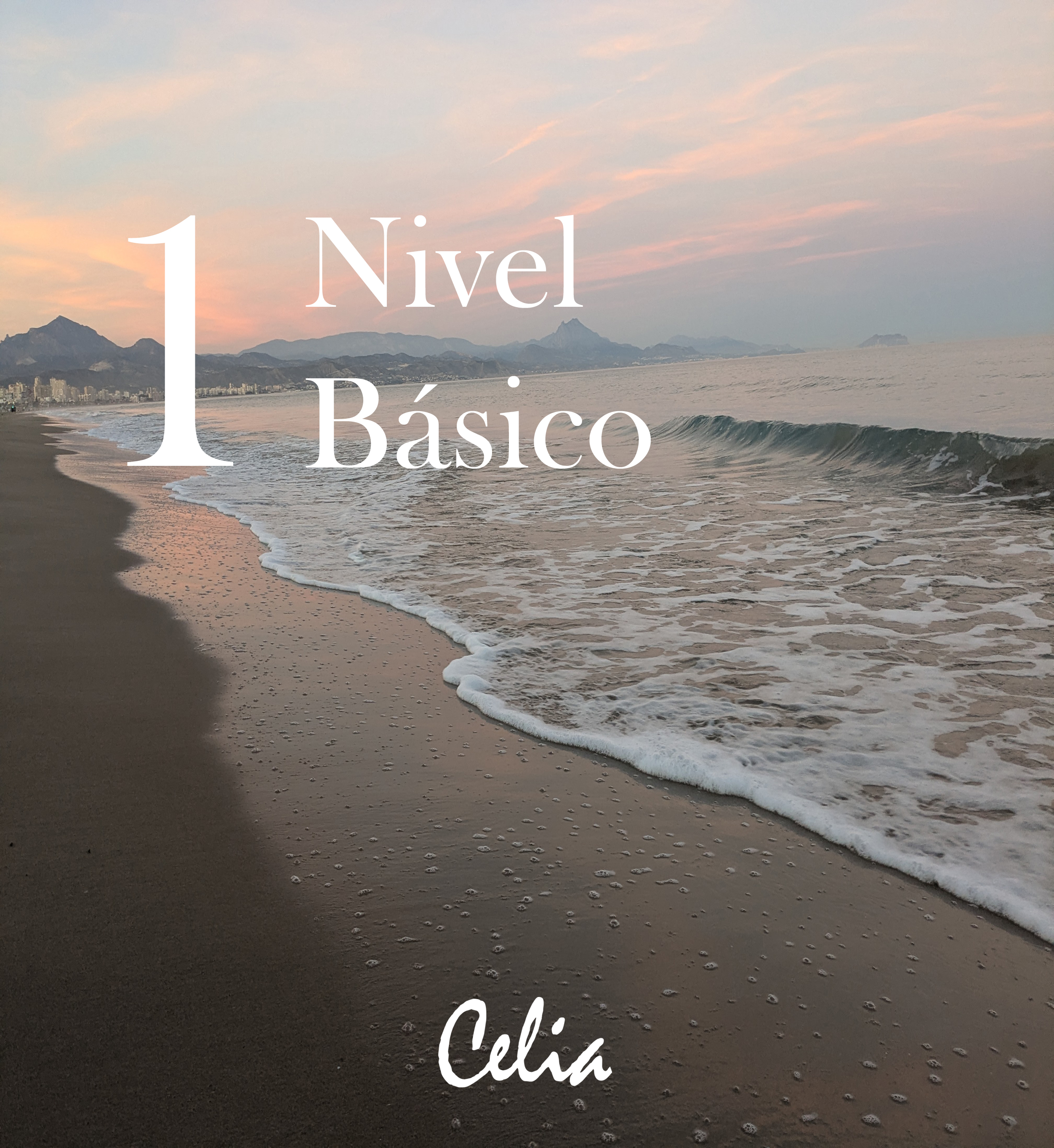 1 Nivel Básico